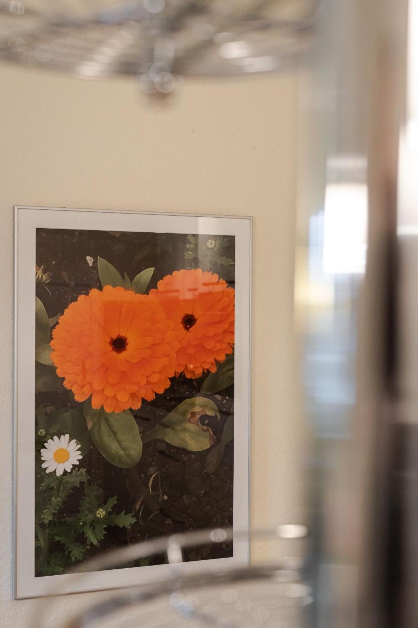 Fewo Ringelblume List Luaran gambar
